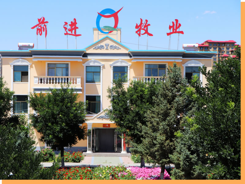 甘肃565net必赢客户端现代农业发展集团